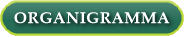 ORGANIGRAMMA